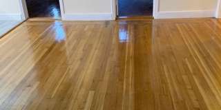 No Fee!  Gorgeous Comm Ave Apt by T!  Modern Appliances.  Cat & Small Dog OK Gallery 4