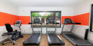 Rise Fossil Creek Gallery 129