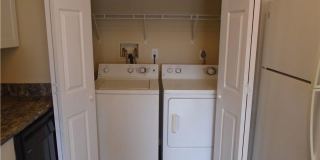 St. Albens Glen Gallery 14