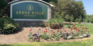 Arbor Ridge Gallery 17