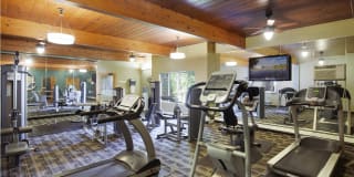 Beach South Gallery 40