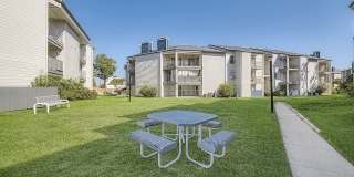 Rise Spring Pointe Gallery 183