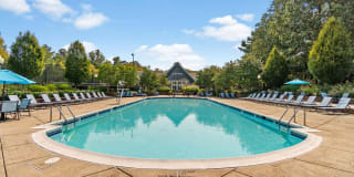 Ellipse at Fairfax Corner Gallery 17