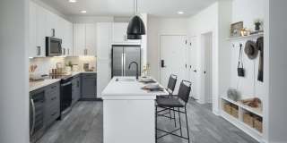 Camden Durham Gallery 14