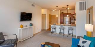 The Enclave Luxury Apartments Gallery 8