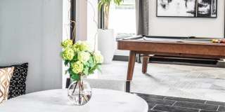 Skye Suwanee Town Center Gallery 16