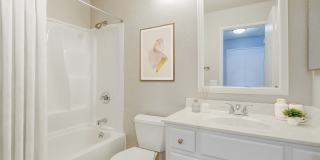 Stoneybrook Gallery 5
