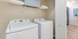 Citra at Windermere Gallery 16