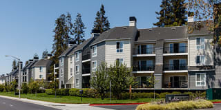 Mansion Grove Apartments Gallery 4