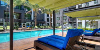 The Lex The Lex Gallery 37