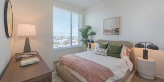 The Carson Gallery 11