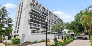 3211 W SWANN AVENUE Gallery 2