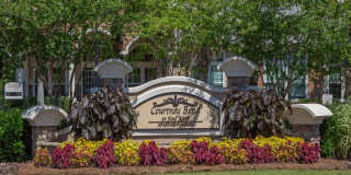 Courtney Bend Gallery 19