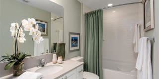 Atlantic Palms at Tradition Gallery 29