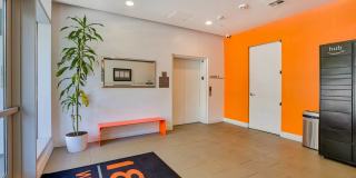 1800 Whitley Gallery 29