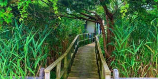 30 Gale Walk Gallery 1