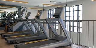 Novel Cary Gallery 33