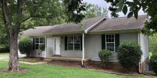 Charming 3BR Home with Spacious Yard in the Heart of Mount Juliet Gallery 1
