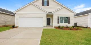 152 Dorian Loop Gallery 1