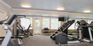 The Signature Gallery 41