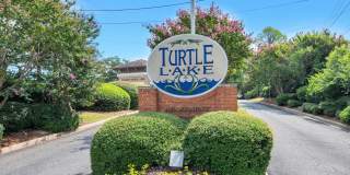 Turtle Lake Gallery 1