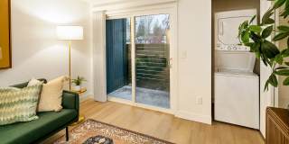 ReNew Dash Point Gallery 13