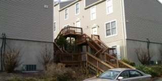 454 Stewart Street - 1 Gallery 1