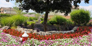 Rosebrook Village Gallery 22