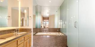 319 Orchid Gallery 14