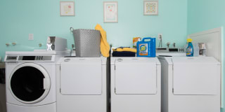 Silver Palms Gallery 20