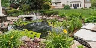 3179 Kingbird Lane Gallery 34