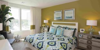 The Allure Mineola Gallery 26