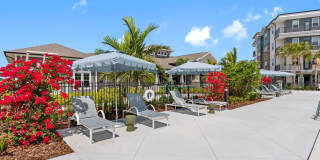 Amberlin Wiregrass Ranch Gallery 25