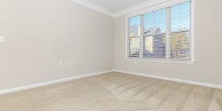 Emerson at Cherry Lane Gallery 36