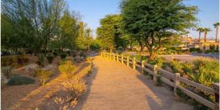 54155 Cananero Cir Gallery 60