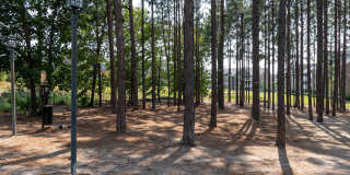 Luxe and Legends at Morganton Park Gallery 41