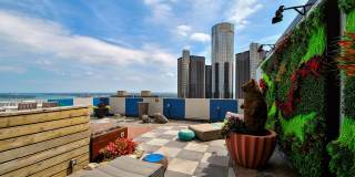 The Millie on Brush The Millie on Brush Gallery 26