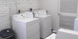 427 Brady St. #3 Gallery 1