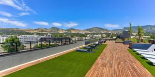 The Citizen Gallery 6