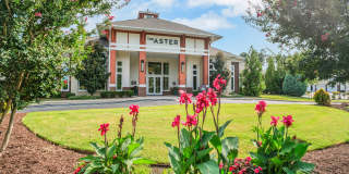 The Aster Gallery 80