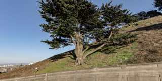 4BR/2.5BA Pet-Friendly Golden Gate Heights Home with Views, Bonus Room & 2-Car Garage | YouTube Tour Gallery 40