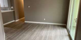 Remodeled 3/2 in near MoPac and Parmer Ln Gallery 5
