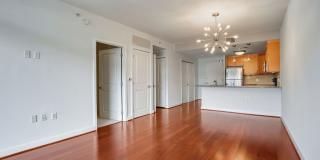 Sun-Drenched 1BR Condo with Rooftop Pool & Parking in Heart of Ballston Gallery 10