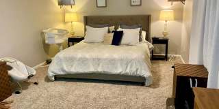 9 Treehill Court Gallery 12