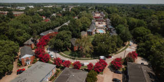 Verve 261 Gallery 28