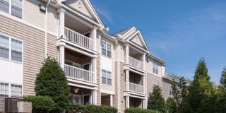 Stuart Hill Gallery 29