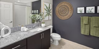 Mosaic at Miramar Town Center Gallery 23