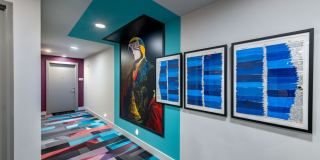 Three Collective Gallery 78