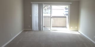 Sage Creek Gallery 16