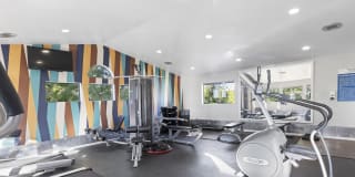 Fountain Palms Gallery 14